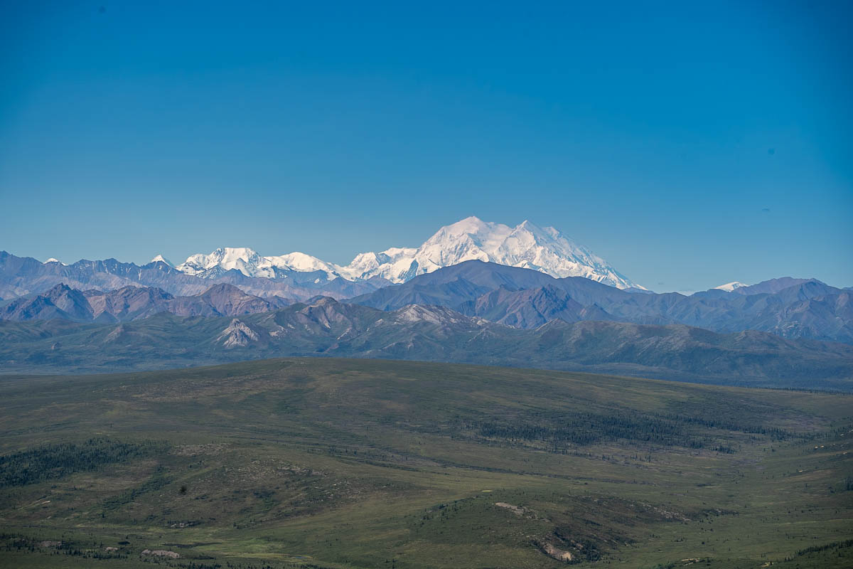 Layers of the Alaska Mountain range with Mount Denali in the background along the Savage Alpine Trail in Denali National Park, Alaska
