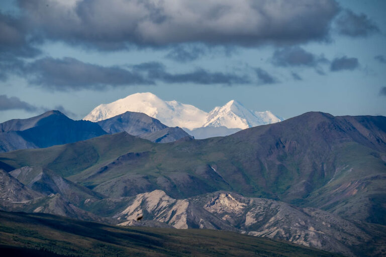 Savage Alpine Trail: The Best Hike in Denali National Park - 90summers.com
