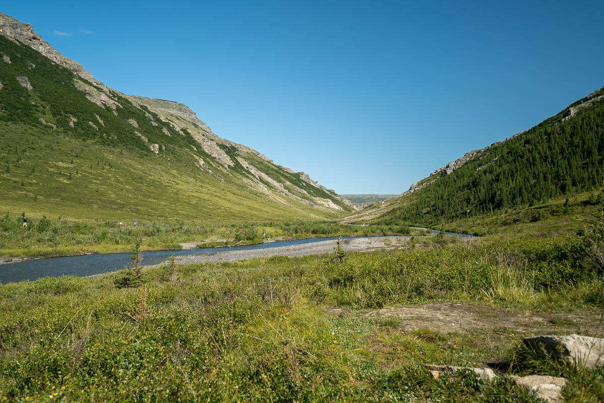 Savage River surrounded by mountains in Denali National Park