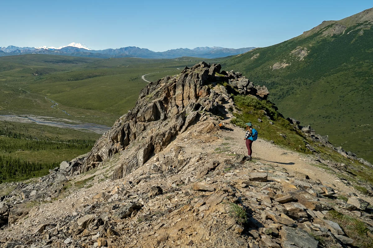Woman standing along the Savage Alpine Trail looking at Mount Denali in the background in Denali National Park, Alaska