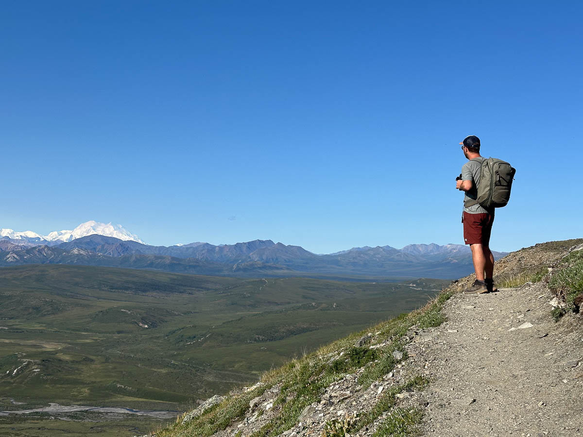 Man looking at Mount Denali along the Savage Alpine Trail in Denali National Park, Alaska