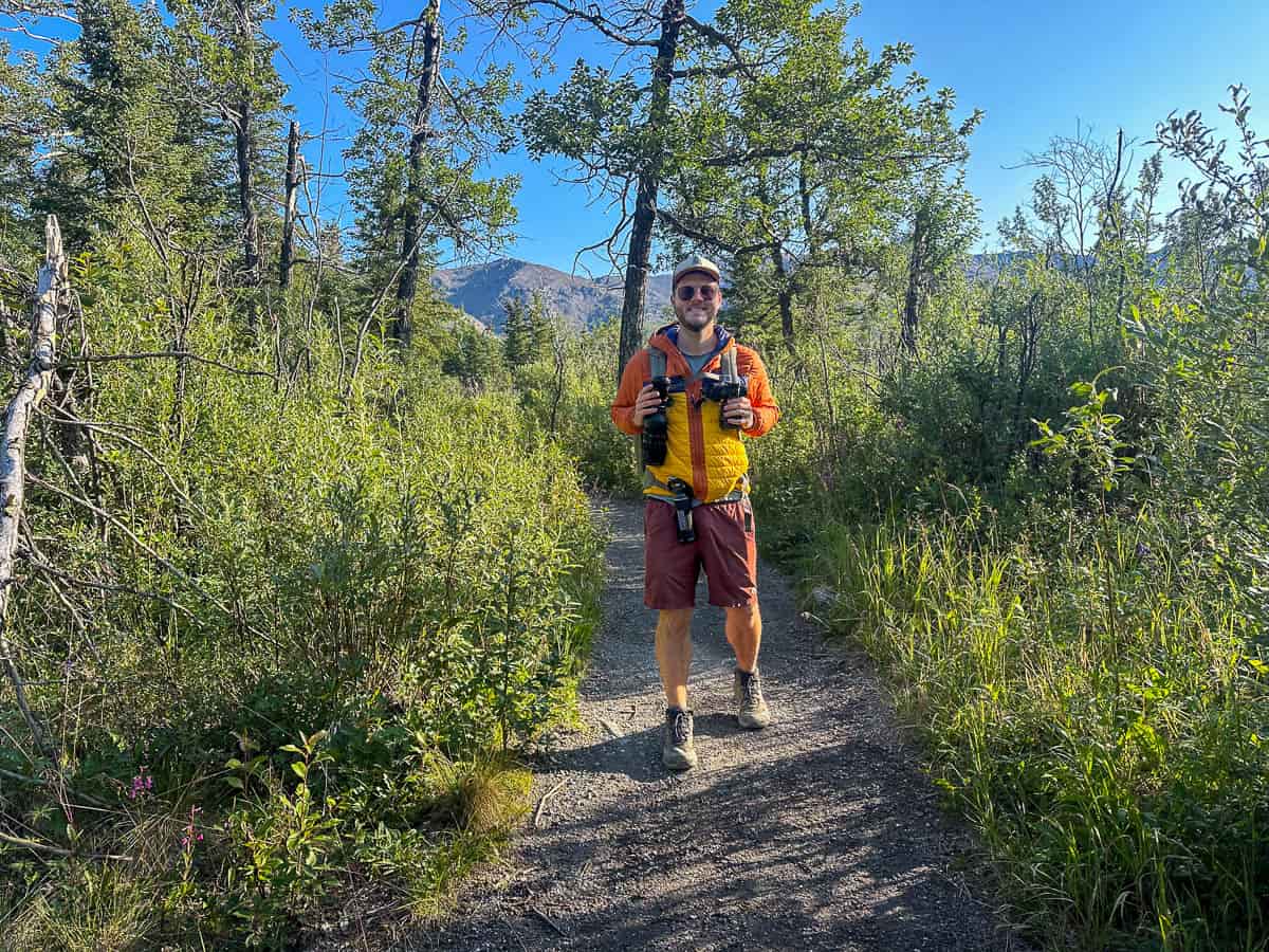 Man hiking through a deep forest along the Savage Alpine Trail in Denali National Park, Alaska
