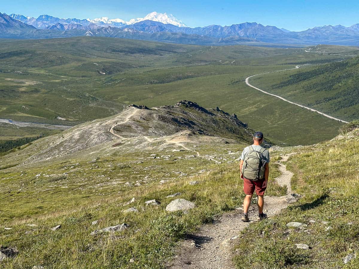 Man hiking along the Savage Alpine Trail with Mount Denali and the Alaska Range Mountains in the background in Denali National Park, Alaska