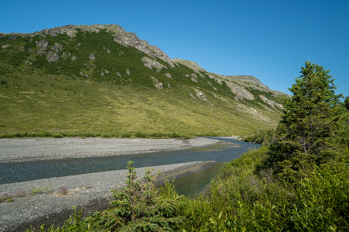 Savage River with a mountain in the background along the Savage River Loop Trail in Denali National Park, Alaska