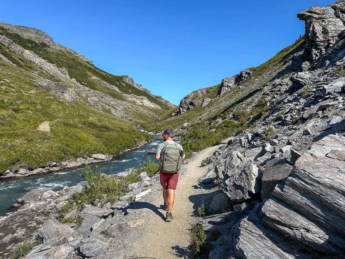 Man walking by rock formations along a grassy mountain slope along the Savage River Trail in Denali National Park, Alaska