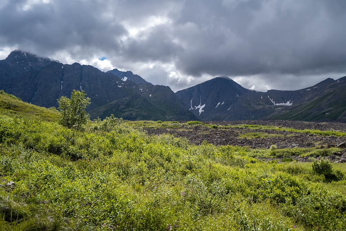 Tundra with Chugach Mountains in the background in Chugach State Park in Anchorage, Alaska