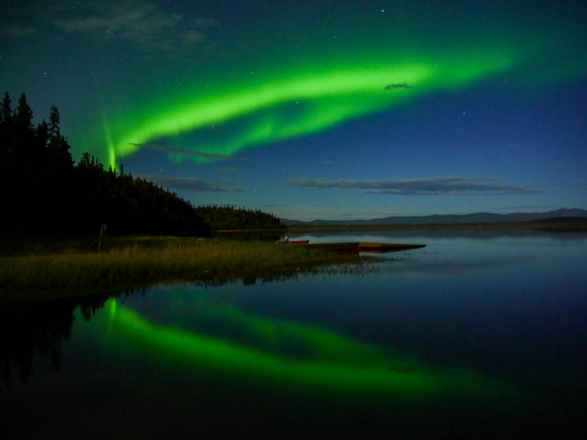 Northern Lights above a coastline with pine trees in Alaska