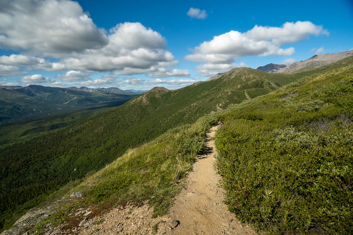 Mount Healy Overlook Trail leading through tundra on a mountain slope in Denali National Park, Alaska