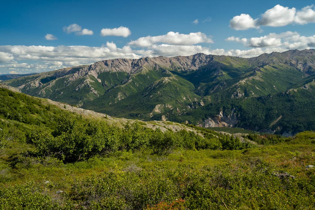 Mountains in the Alaska Mountain range along the Mount Healy Overlook Trail in Denali National Park, Alaska