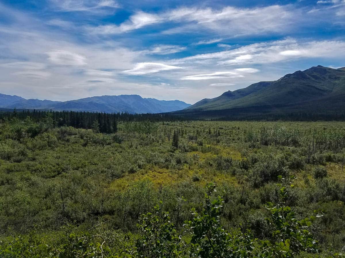 Tundra with mountains in the background in Denali National Park, Alaska
