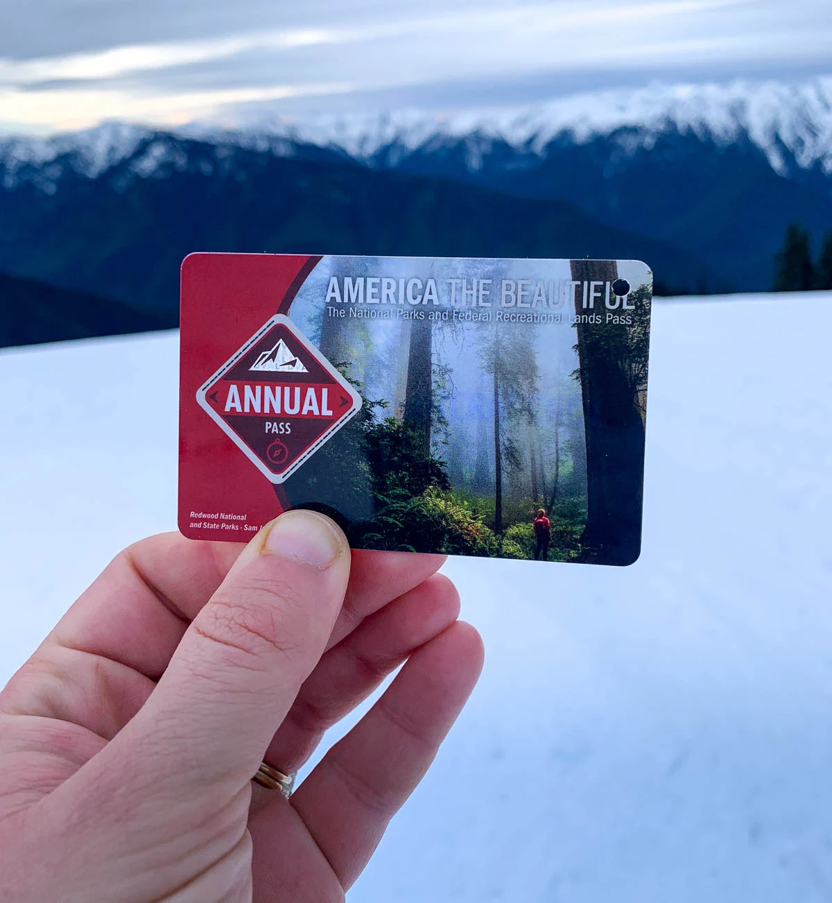 Hand holding an America the Beautiful Pass with the Olympic Mountains in the background at Hurricane Ridge in Olympic National Park, Washington