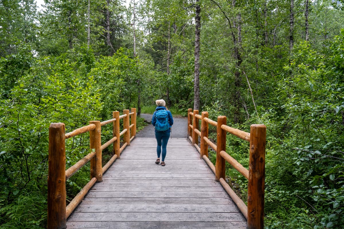 Woman walking on a wooden bridge along the Exit Glacier Trail in Kenai Fjords National Park in Alaska