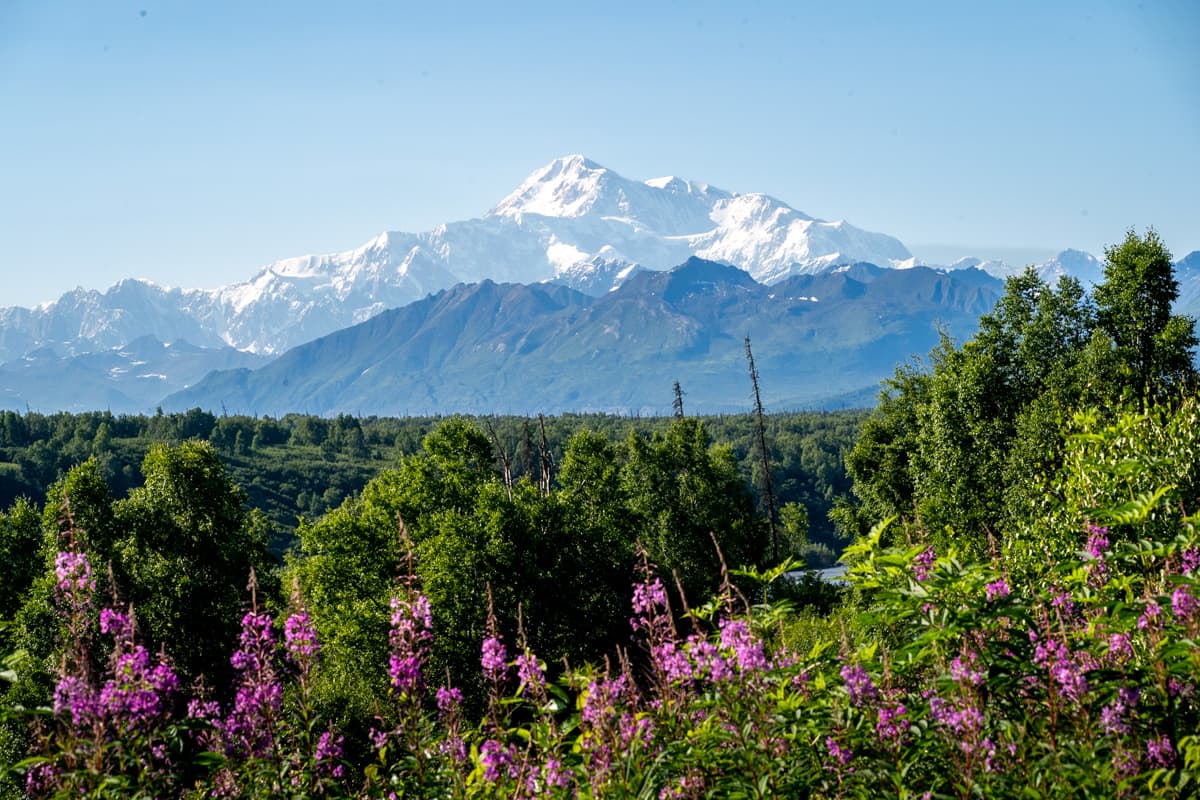 View of Mount Denali behind the Alaska Mountains in Denali State Park in Alaska