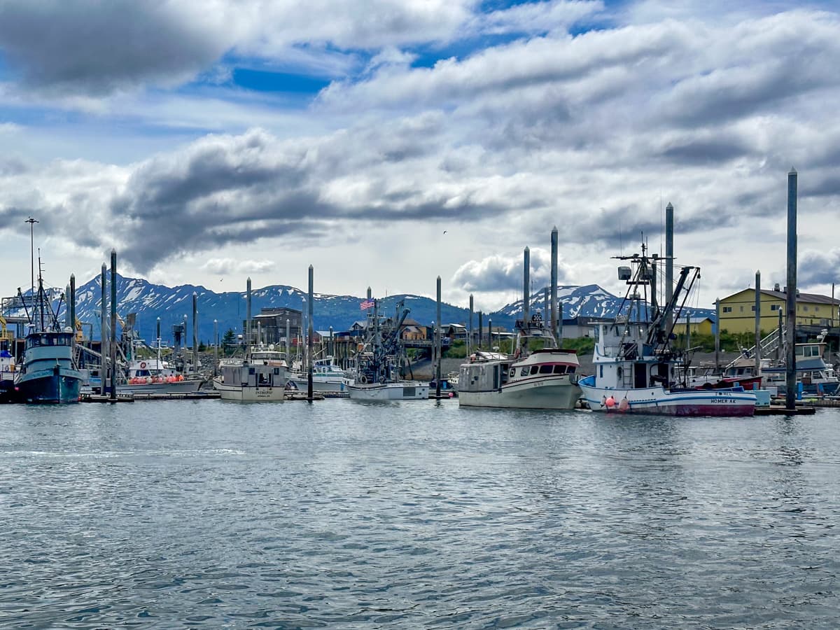 Boats in the Homer Harbor with Kenai Mountains in the background in Homer, Alaska