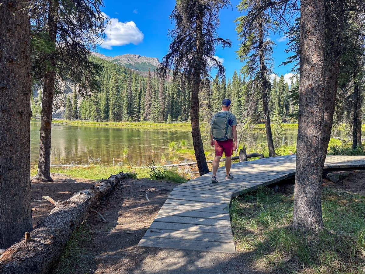 Man walking along a wooden boardwalk along the shores of Horseshoe Lake along the Horseshoe Lake Trail in Denali National Park in Alaska