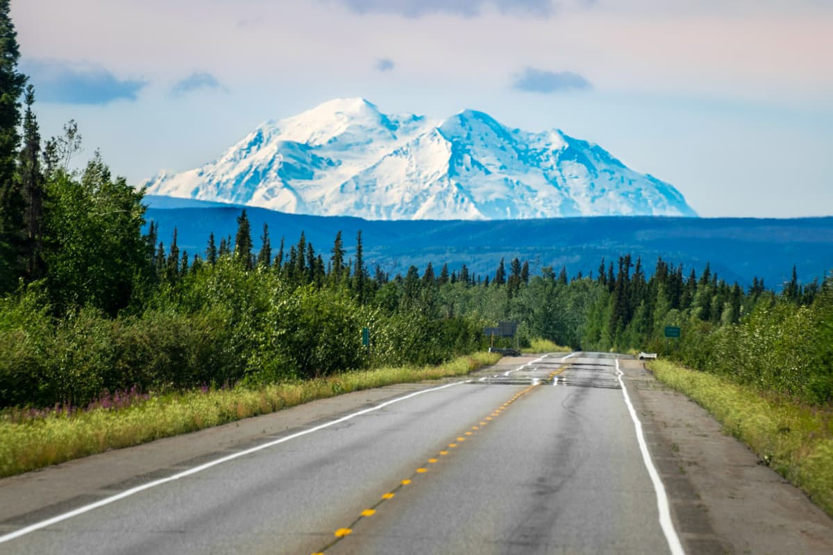 Denali Park Road leading through the Denali National Park with Mount Denali in the background in Alaska