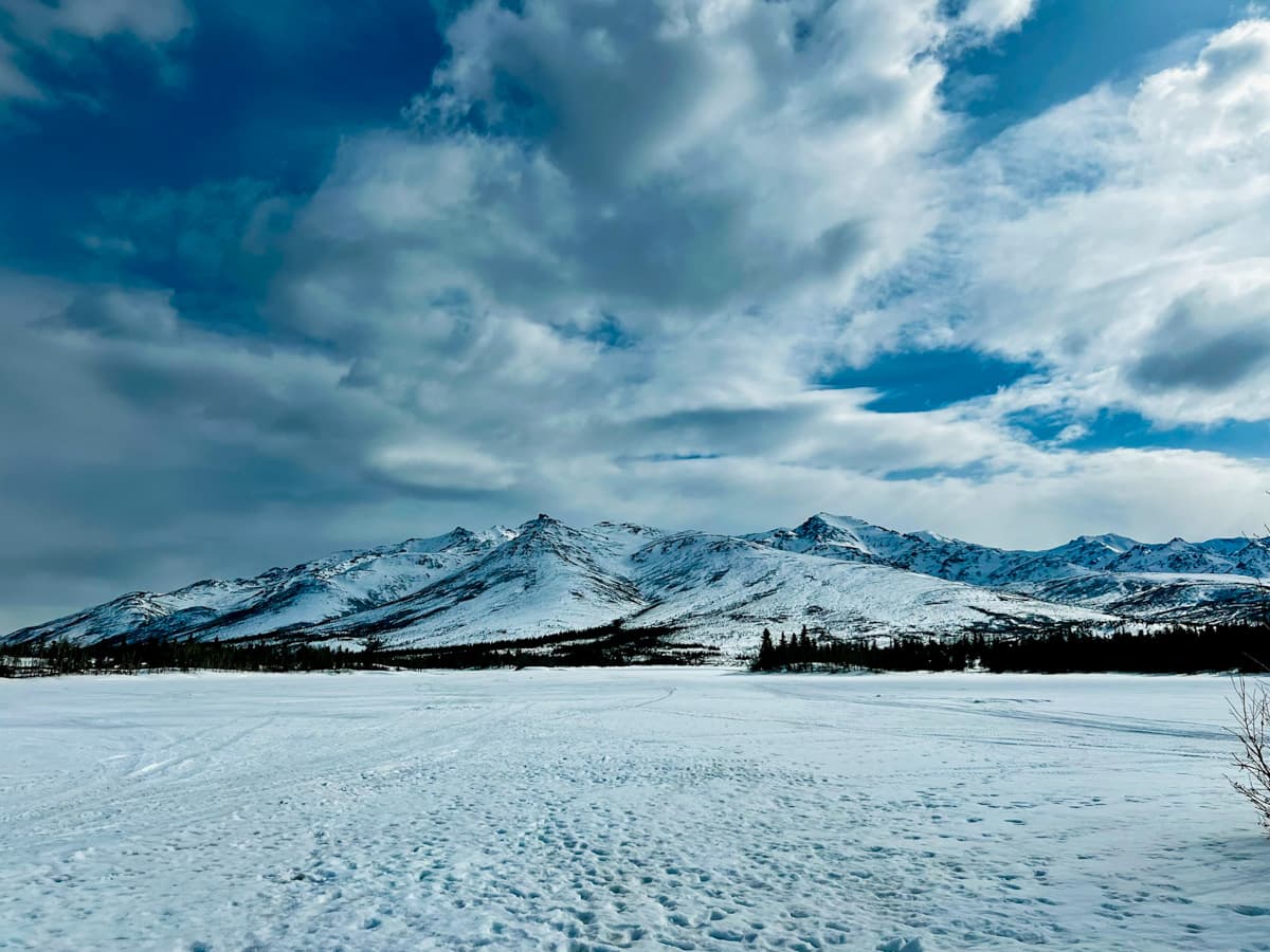 Snowy mountains and snow in Denali National Park in Alaska