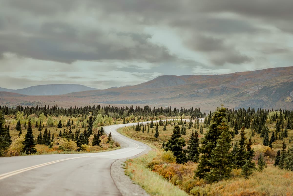 Denali Park Road winding through pine tree forests with mountains in the background in Denali National Park, Alaska