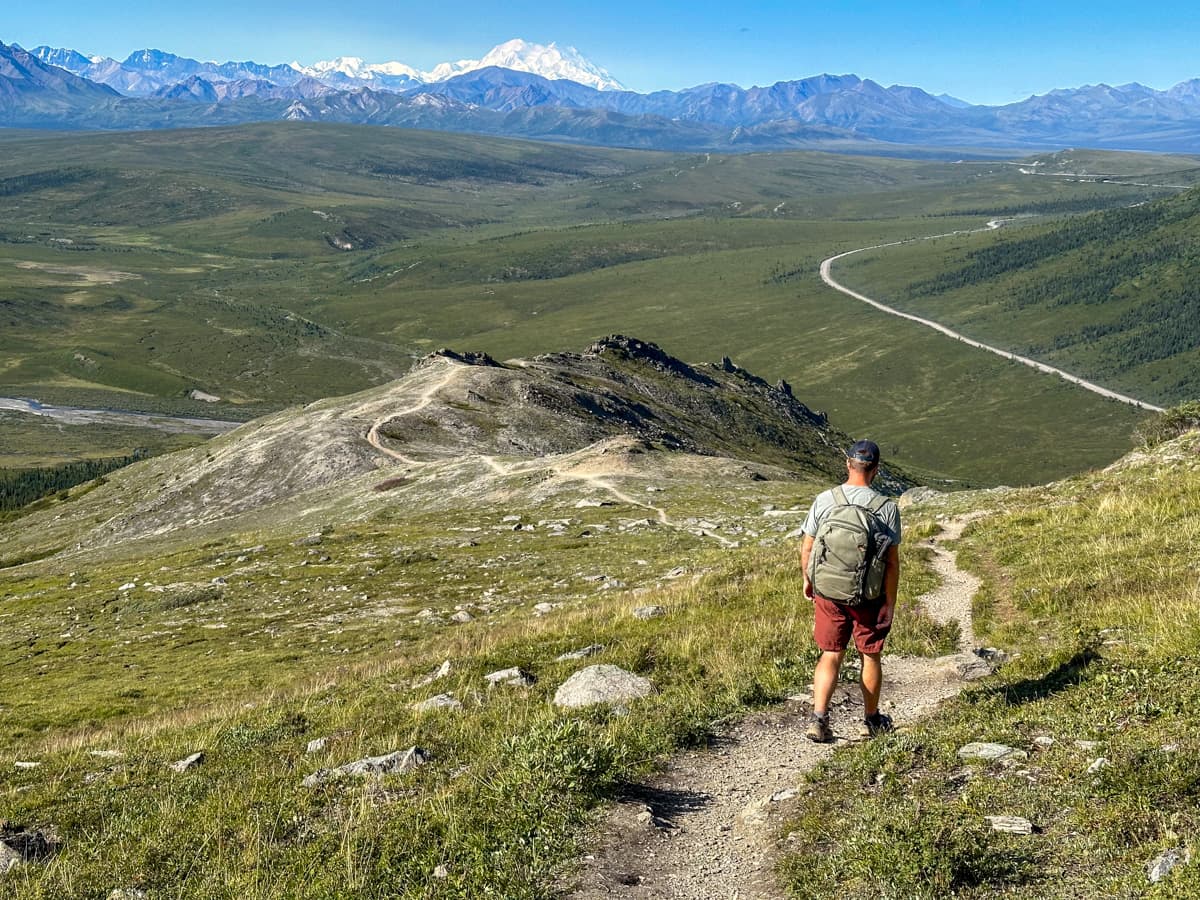 Man walking down the Savage Alpine Trail with Mount Denali and the Alaska Mountain range in the background in Denali National Park in Alaska