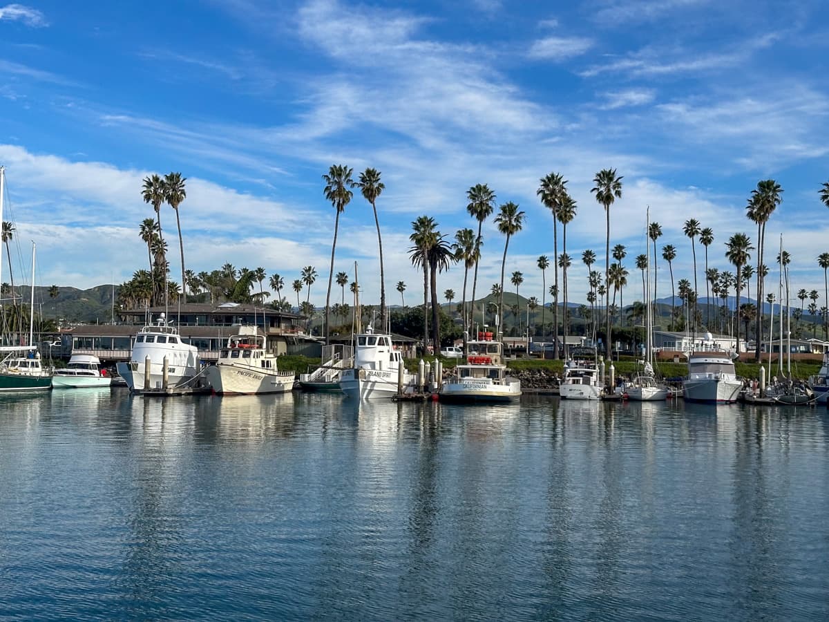 Boats parked in Ventura Harbor with palm trees in the background in Ventura, California