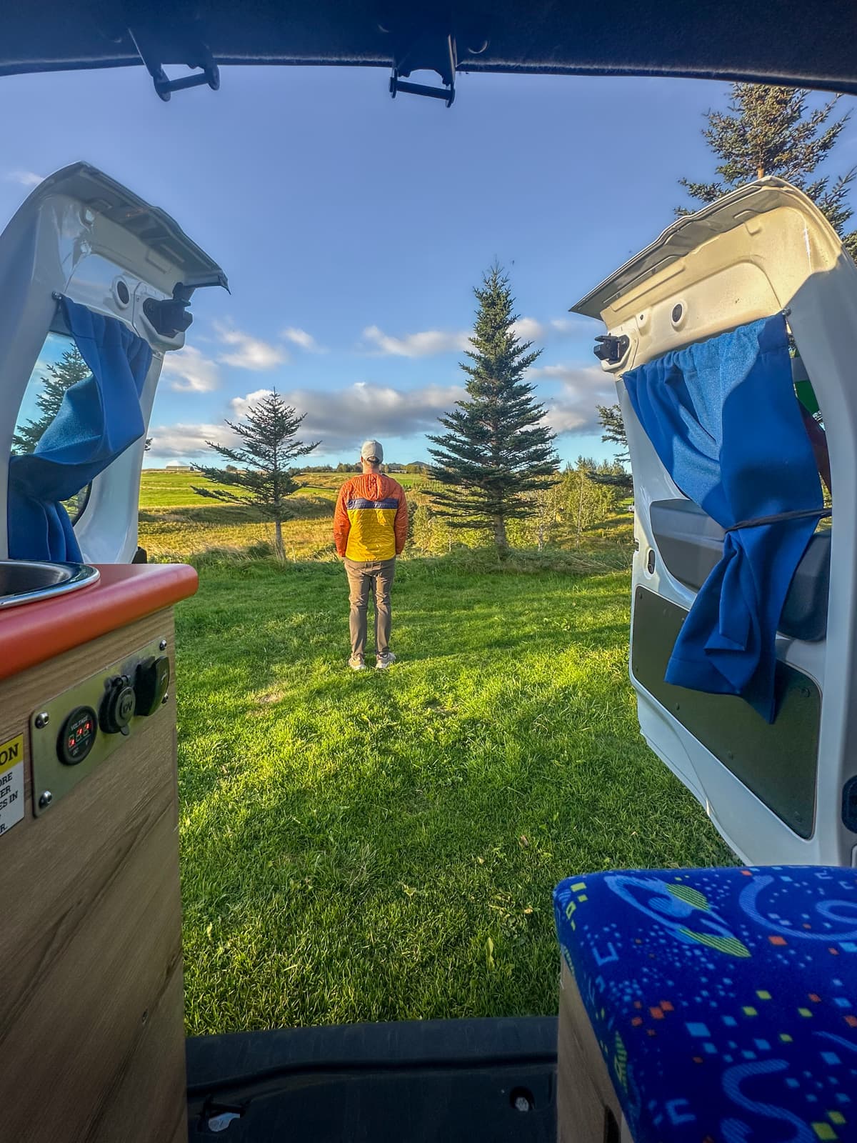 Man standing outside of open campervan doors with pine trees in the background in Iceland