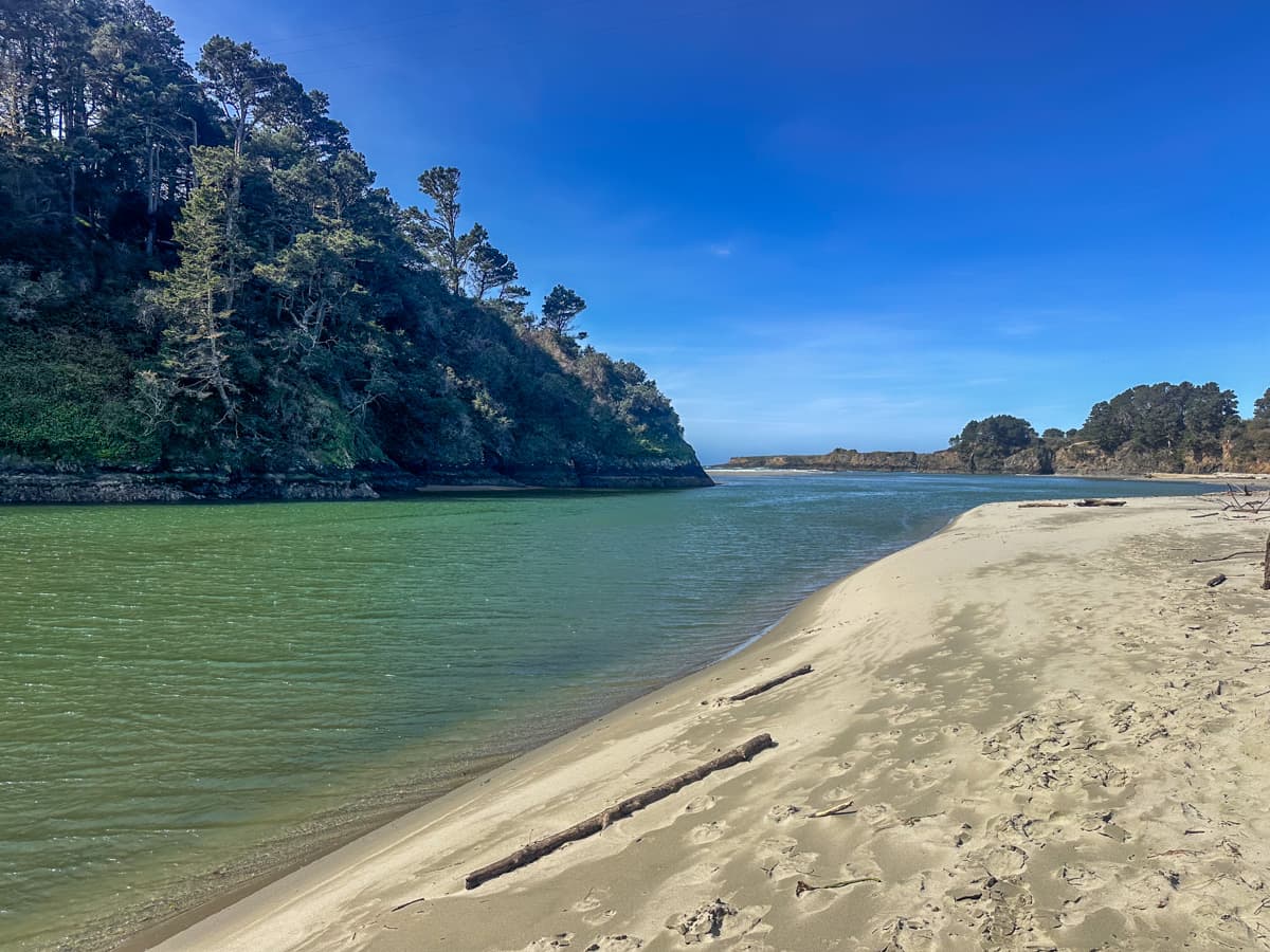 Big River with sandy beach on one side with pine trees on the other in Mendocino, California