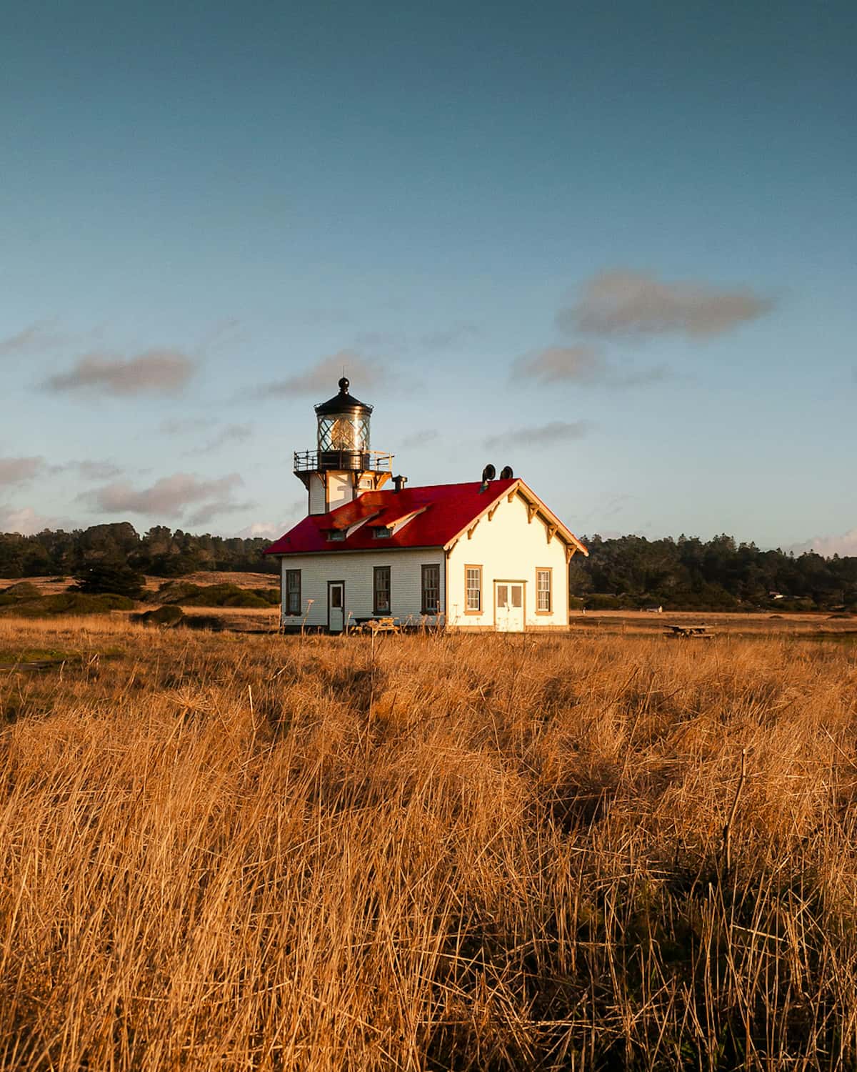 Point Cabrillo Lighthouse surrounded by tall grass at sunset in Mendocino, California