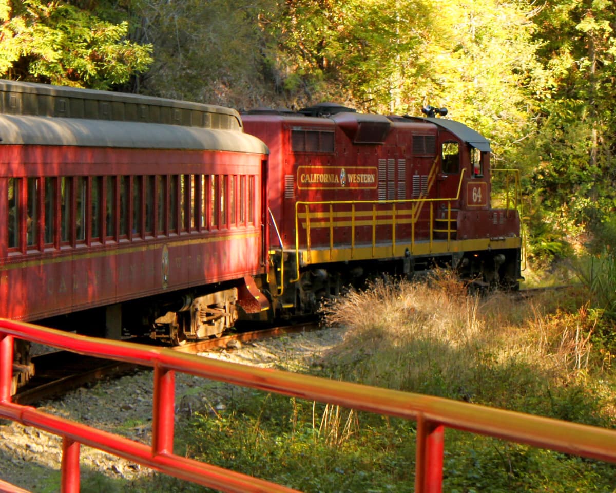 Skunk Train curving around a turn through a forest north of Fort Bragg, California
