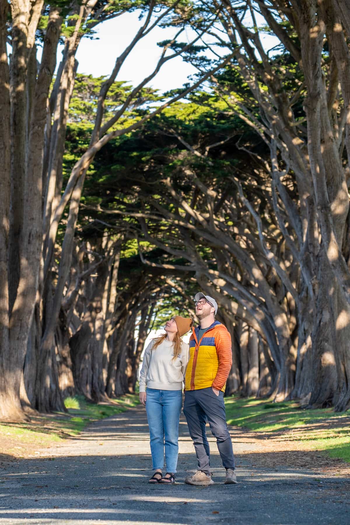 Couple looking up at the cypress tree tunnel in Point Reyes National Seashore in California