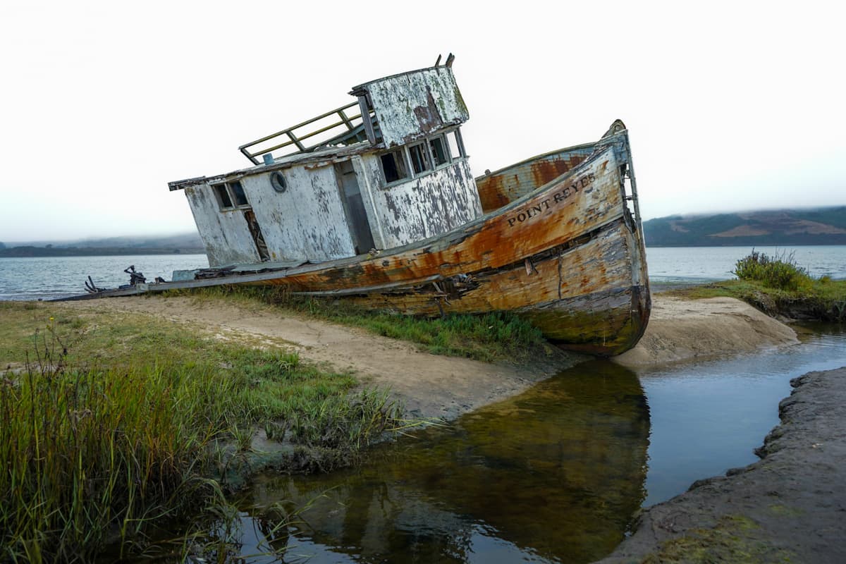 SS Point Reyes shipwreck in a wetland in Inverness, California