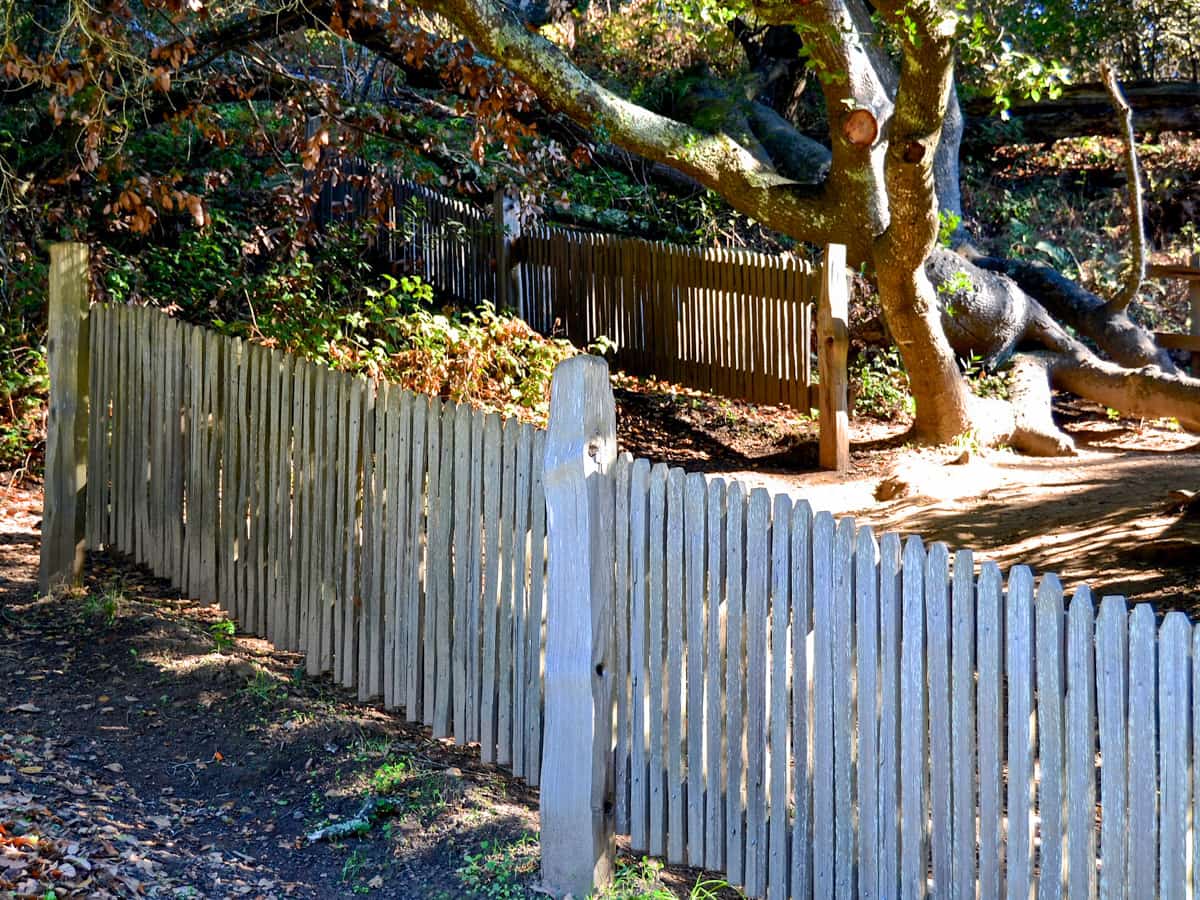 Fences to show displacement during the 1906 earthquake along the Earthquake Trail in Point Reyes National Seashore in California